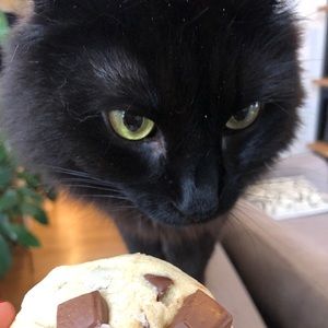 Meet your Posher, Alisa